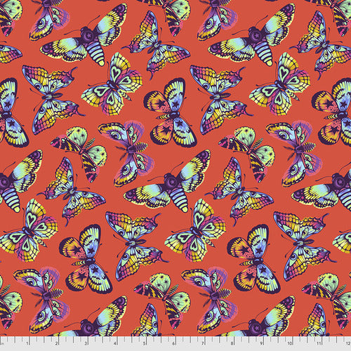 Daydreamer Butterfly Kisses in Papaya by Tula Pink | PWTP172.PAPAYA