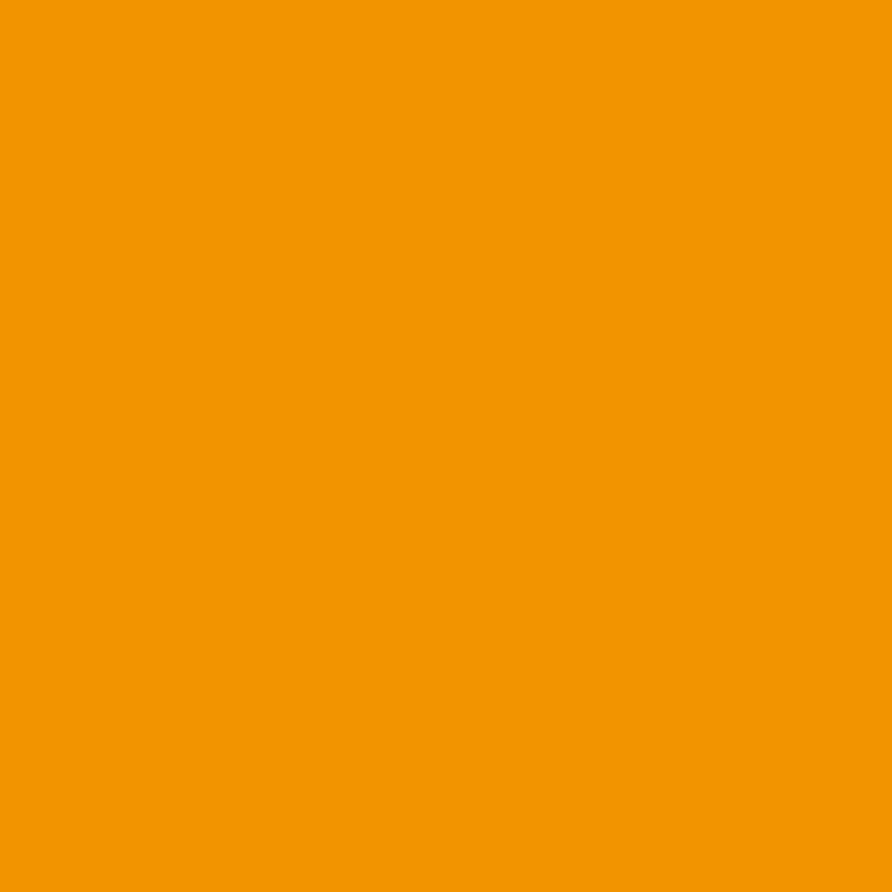 Solid in Marigold | Tula Pink Solids by Tula Pink | CSFSESS.MARIGOLD