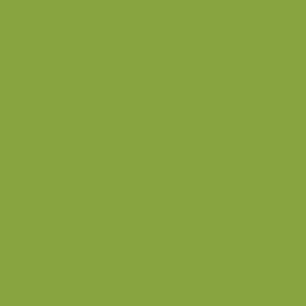 Solid in Matcha | Tula Pink Solids by Tula Pink | CSFSESS.MATCHA