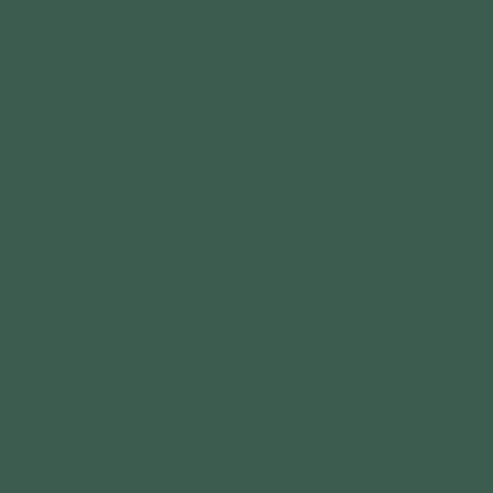 Solid in Shire | Tula Pink Solids by Tula Pink | CSFSESS.SHIRE