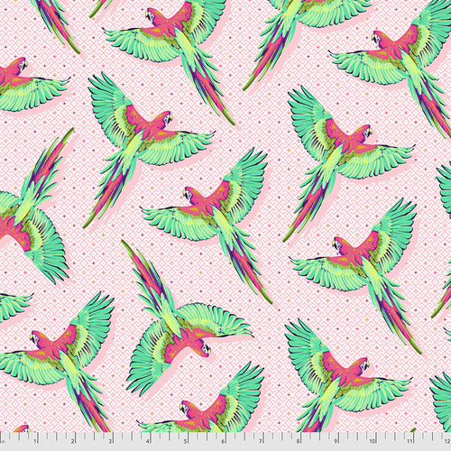 Daydreamer Macaw Ya Later in Dragonfruit by Tula Pink | PWTP170.DRAGONFRUIT