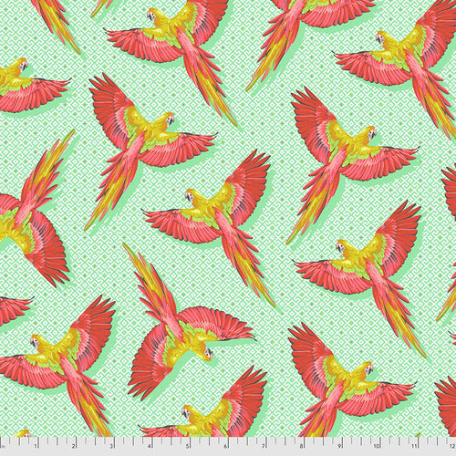 Daydreamer Macaw Ya Later in Mango by Tula Pink | PWTP170.MANGO