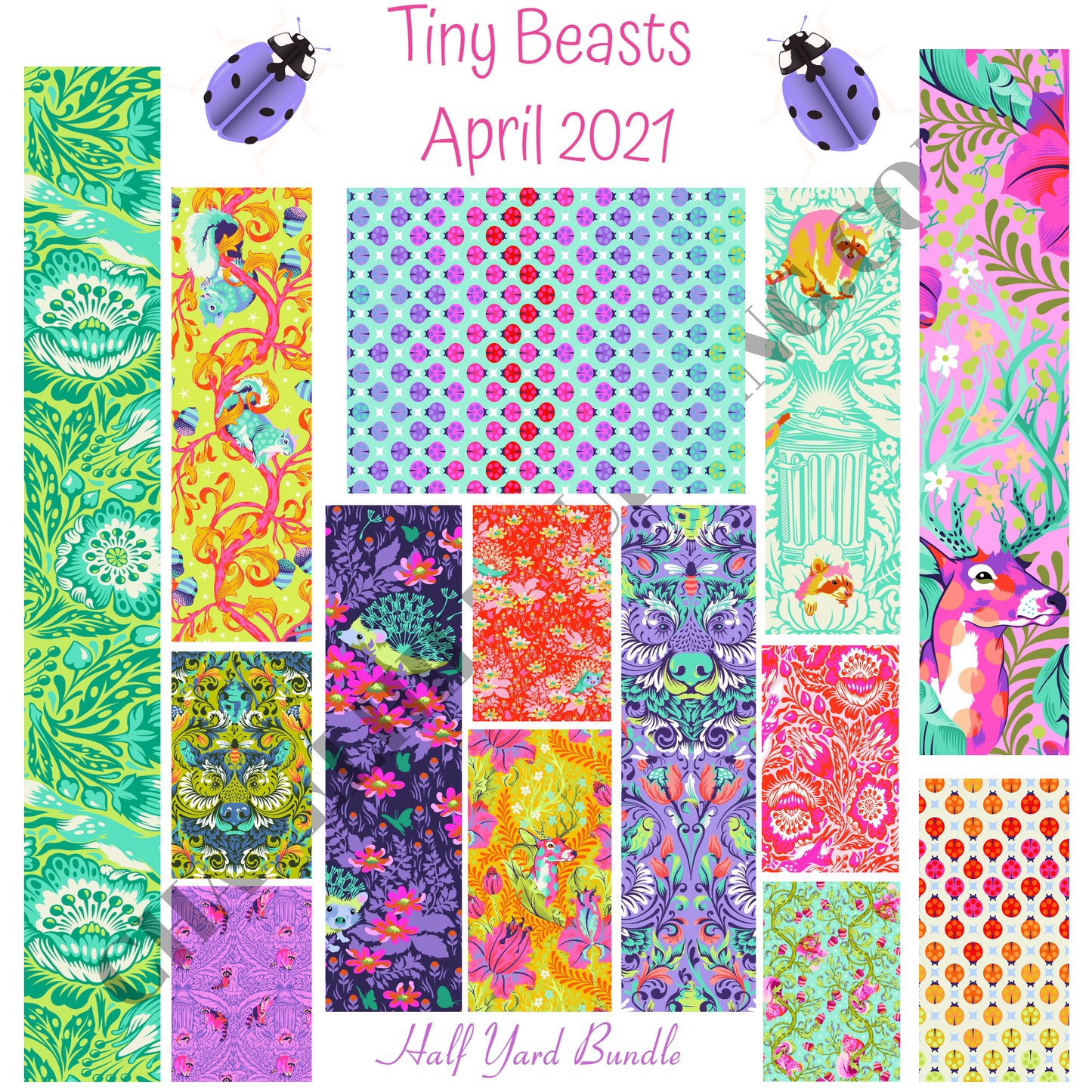 Tiny Beasts Half Yard Bundle By Tula Pink | FB4HYTP.BEAST